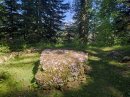 La Table du Roi